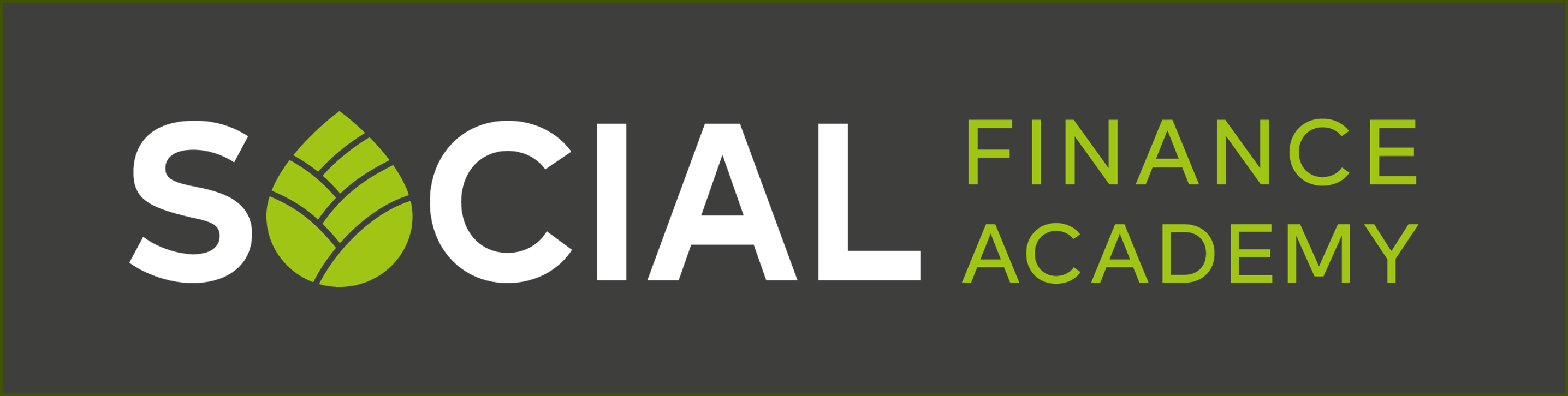 Social Finance Academy